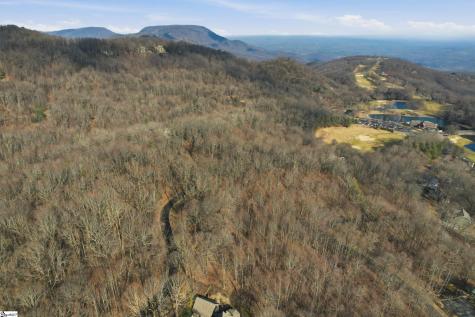 116 Witch Hazel Trail Landrum SC 29356