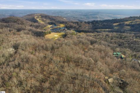 116 Witch Hazel Trail Landrum SC 29356
