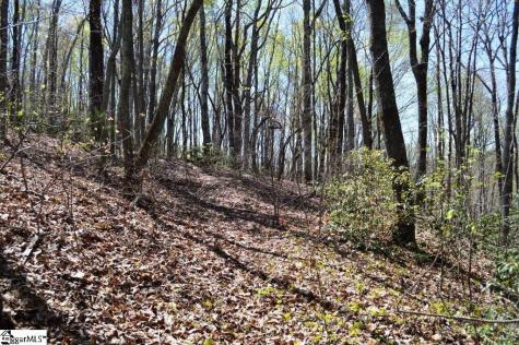 309 Laurel Valley Way Travelers Rest SC 29690