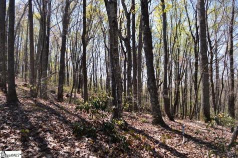 309 Laurel Valley Way Travelers Rest SC 29690