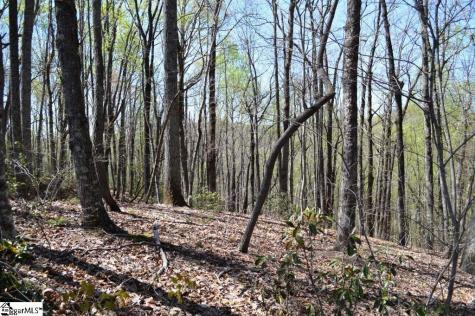 309 Laurel Valley Way Travelers Rest SC 29690