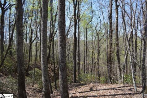 309 Laurel Valley Way Travelers Rest SC 29690
