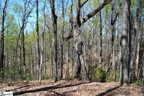 309 Laurel Valley Way Travelers Rest SC 29690