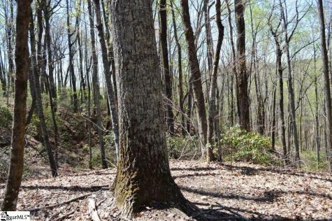 309 Laurel Valley Way Travelers Rest SC 29690