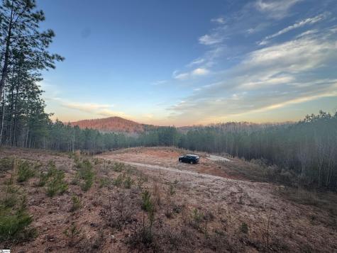 38 Old Plantation Road Travelers Rest SC 29690