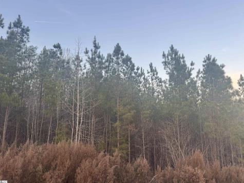 38 Old Plantation Road Travelers Rest SC 29690