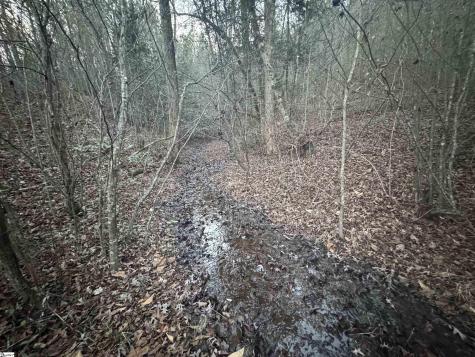 38 Old Plantation Road Travelers Rest SC 29690