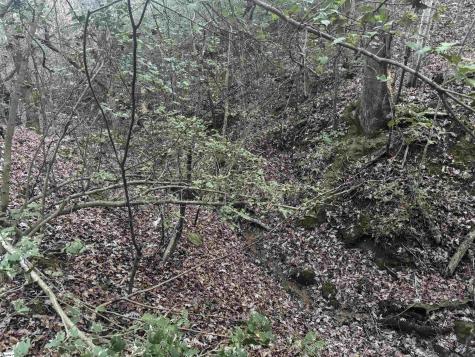 38 Old Plantation Road Travelers Rest SC 29690