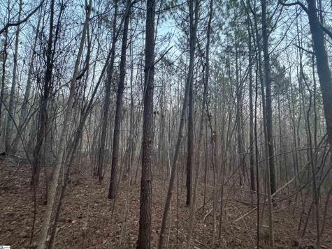 38 Old Plantation Road Travelers Rest SC 29690