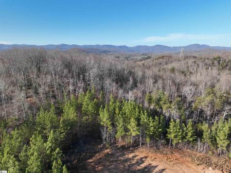 38 Old Plantation Road Travelers Rest SC 29690