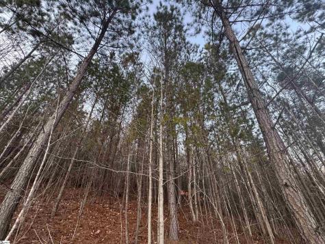 38 Old Plantation Road Travelers Rest SC 29690