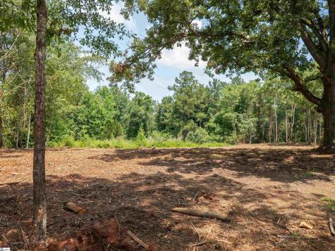 00 Cheek Road Gray Court SC 29645