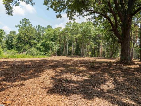 00 Cheek Road Gray Court SC 29645