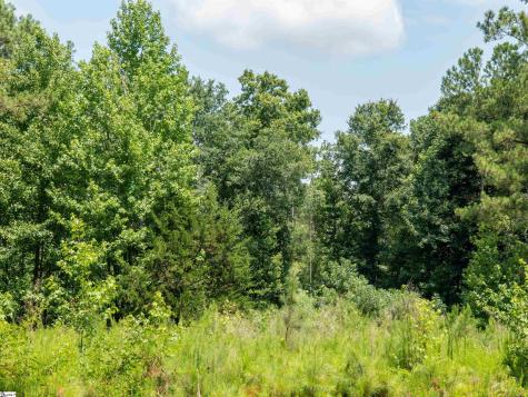 00 Cheek Road Gray Court SC 29645