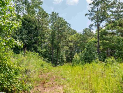 00 Cheek Road Gray Court SC 29645