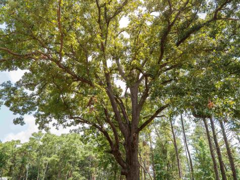 00 Cheek Road Gray Court SC 29645