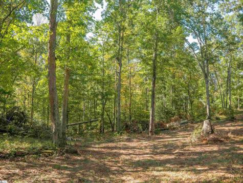 0 Woodall Road Greenville SC 29617
