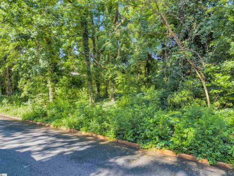 N Avondale Drive Greenville SC 29609