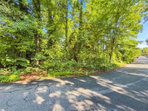 N Avondale Drive Greenville SC 29609