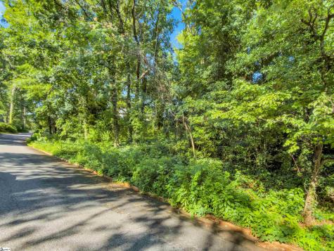 N Avondale Drive Greenville SC 29609