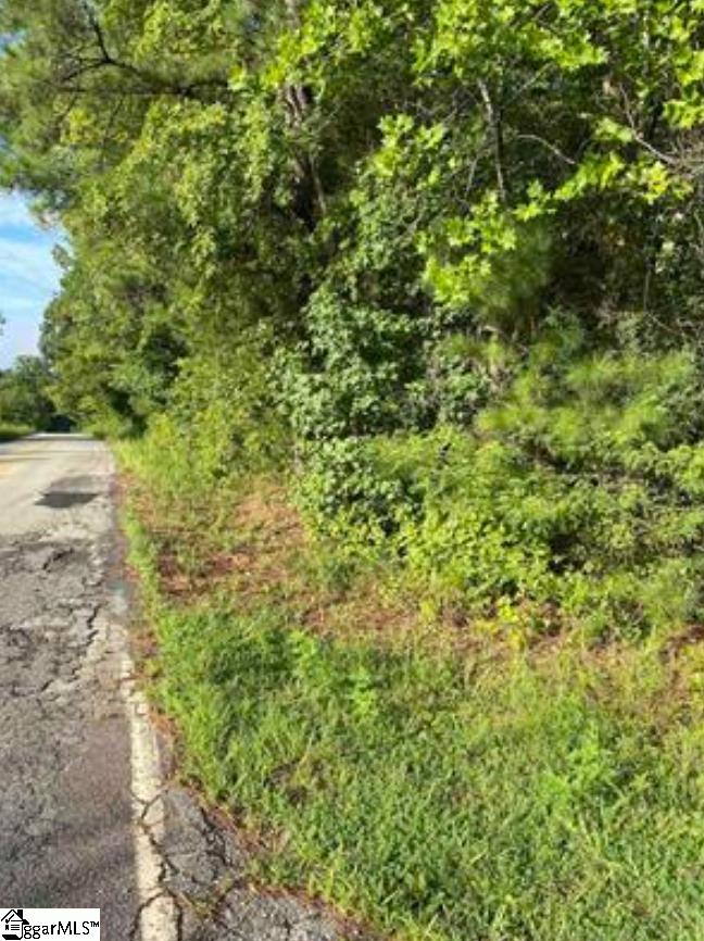 0 Mount Shoals Road Enoree SC 29335