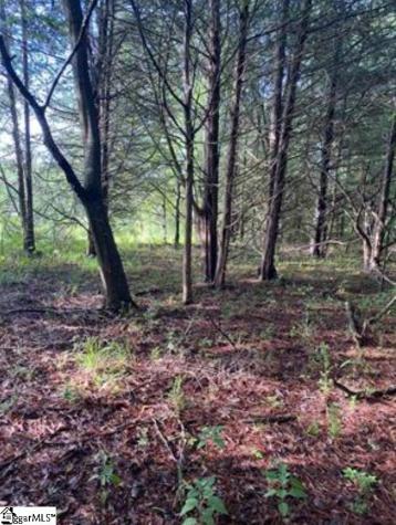0 Mount Shoals Road Enoree SC 29335