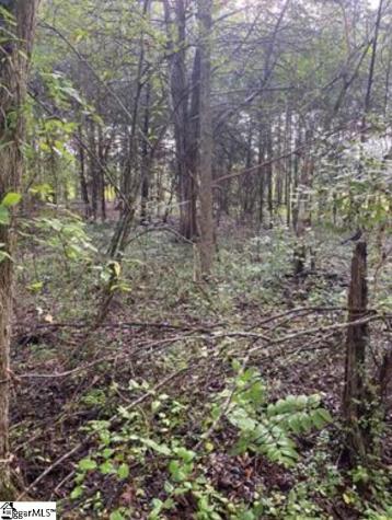 0 Mount Shoals Road Enoree SC 29335