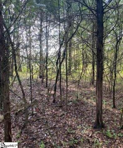 0 Mount Shoals Road Enoree SC 29335