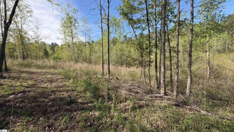 2125 Highway 247 Belton SC 29627