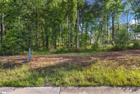 000 Wrenwood Court Piedmont SC 29673