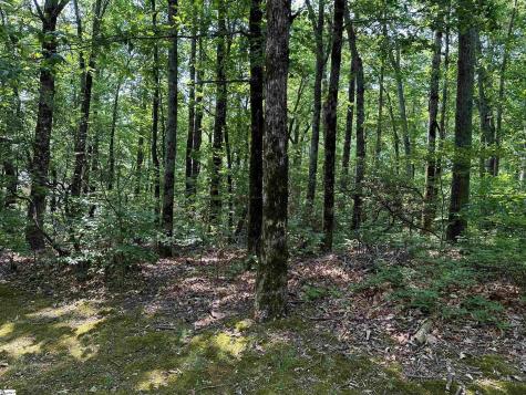 00 Lacey Fern Way Landrum SC 29356