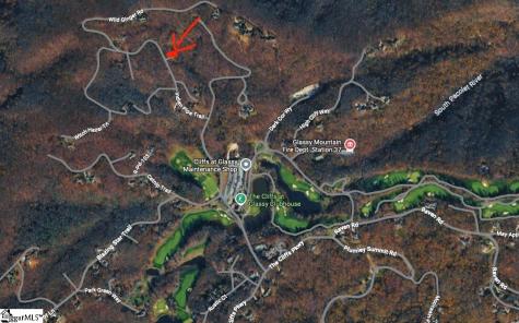 00 Lacey Fern Way Landrum SC 29356