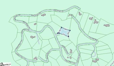 00 Lacey Fern Way Landrum SC 29356