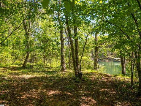 124 Coveside Lane Six Mile SC 29682