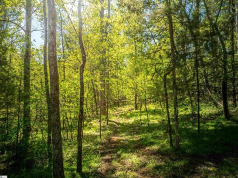 124 Coveside Lane Six Mile SC 29682