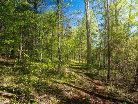 124 Coveside Lane Six Mile SC 29682