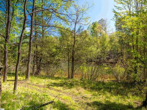 124 Coveside Lane Six Mile SC 29682