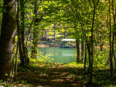 124 Coveside Lane Six Mile SC 29682