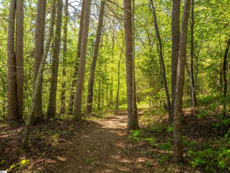 124 Coveside Lane Six Mile SC 29682