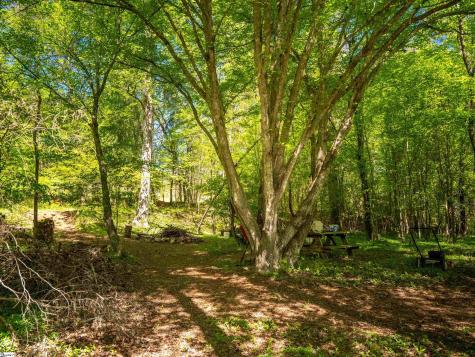 124 Coveside Lane Six Mile SC 29682