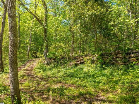 124 Coveside Lane Six Mile SC 29682