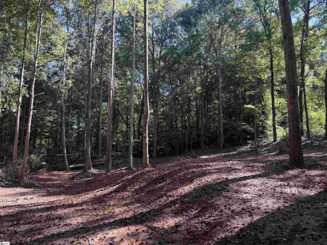 9 Starview Road Travelers Rest SC 29609