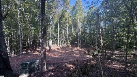 9 Starview Road Travelers Rest SC 29609