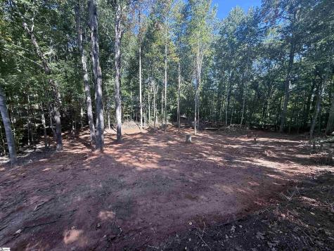 9 Starview Road Travelers Rest SC 29609