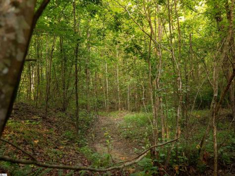00 Crowe Creek Road Six Mile SC 29682
