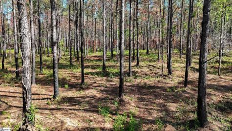 02 Lisbon Road Mountville SC 29370