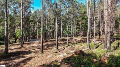 02 Lisbon Road Mountville SC 29370