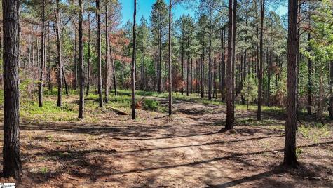 02 Lisbon Road Mountville SC 29370