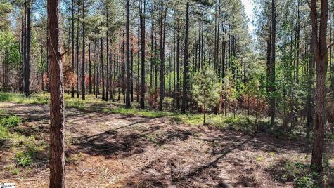 02 Lisbon Road Mountville SC 29370