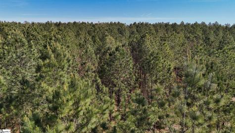 02 Lisbon Road Mountville SC 29370